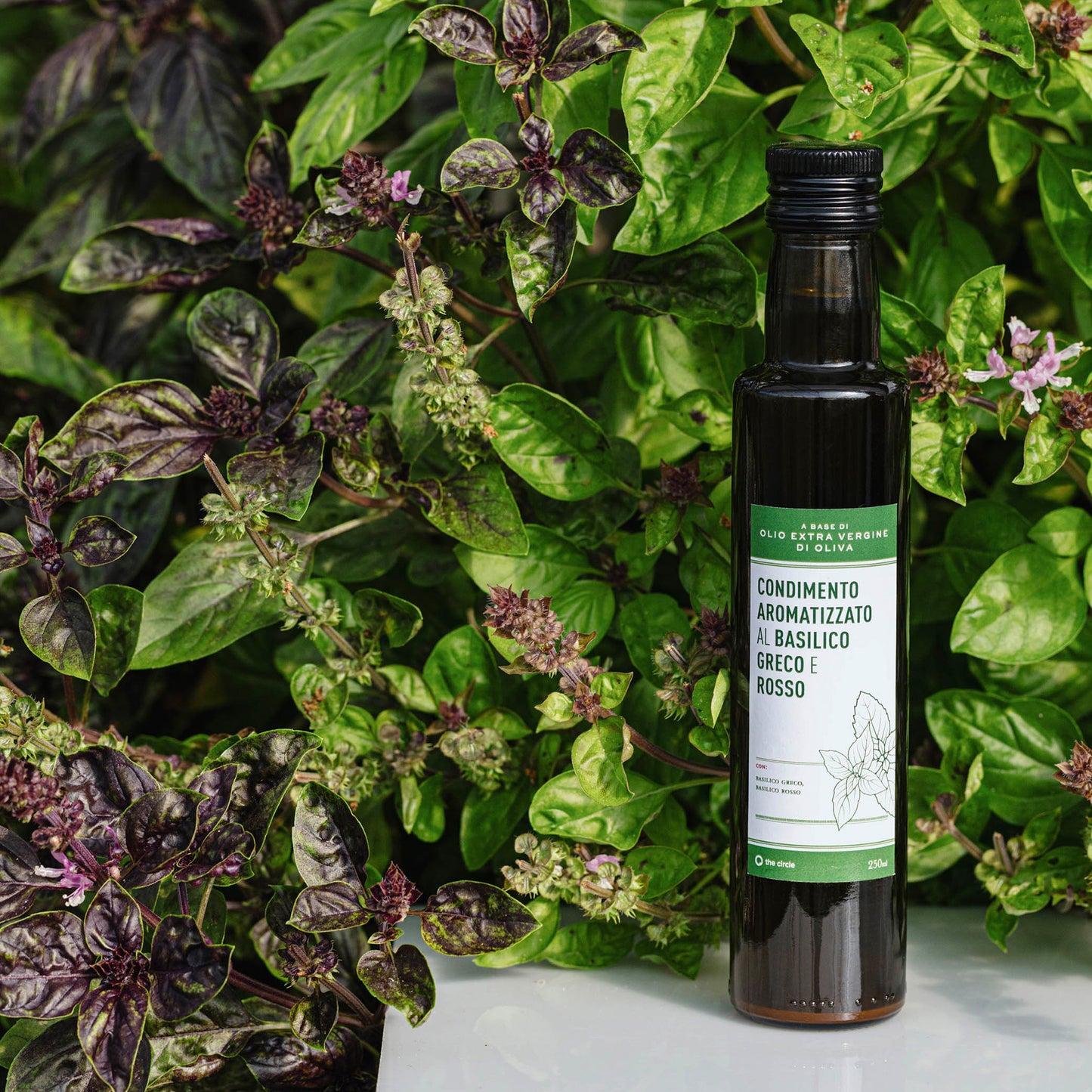 Condimento Aromatizzato - Basilico Greco e Rosso