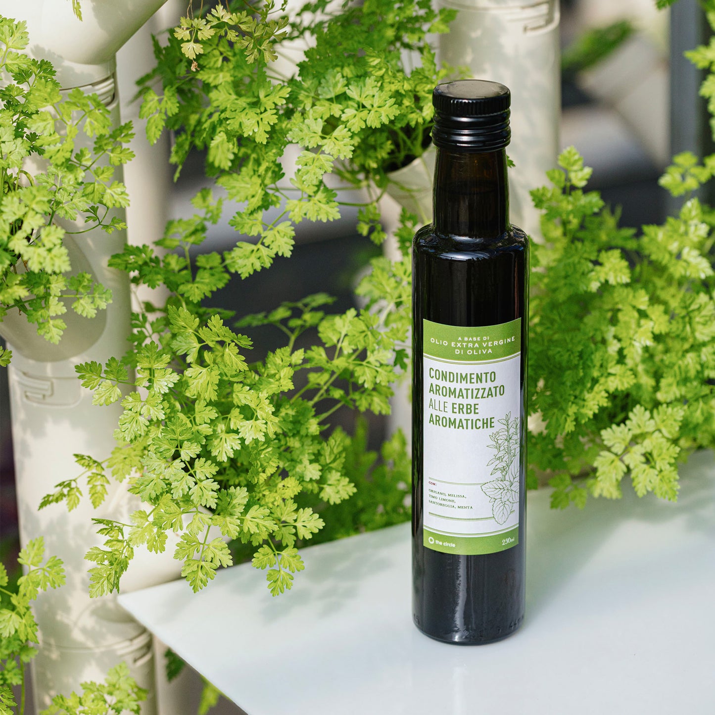 Condimento Aromatizzato - Erbe Aromatiche